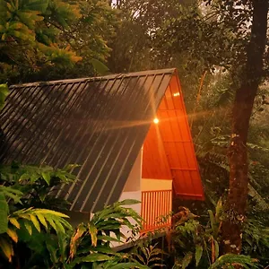 Teadrops Plantation Homestay Munnar